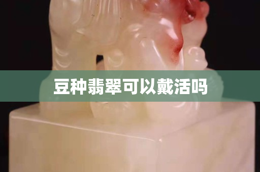 豆种翡翠可以戴活吗