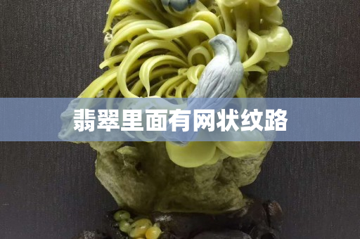 翡翠里面有网状纹路