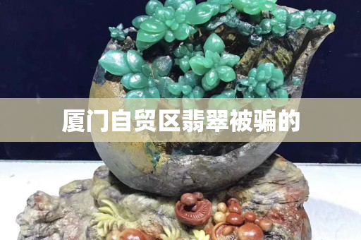 厦门自贸区翡翠被骗的