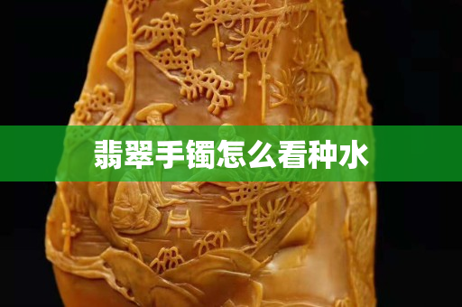 翡翠手镯怎么看种水