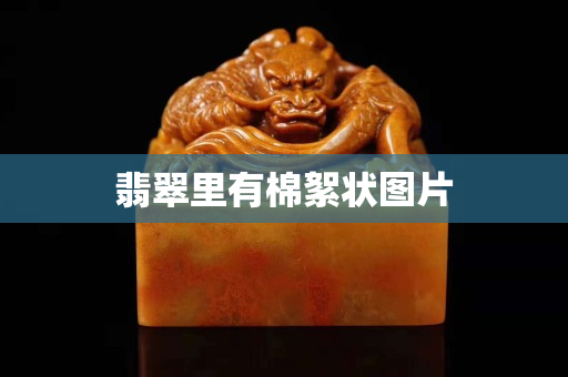 翡翠里有棉絮状图片