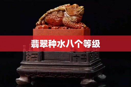 翡翠种水八个等级