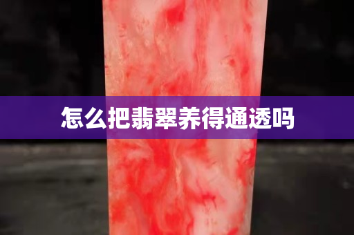 怎么把翡翠养得通透吗