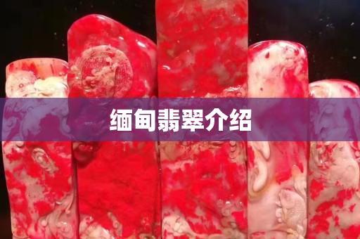 缅甸翡翠介绍