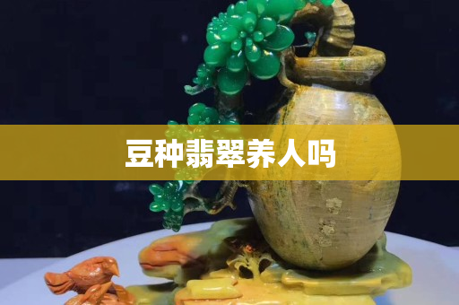 豆种翡翠养人吗
