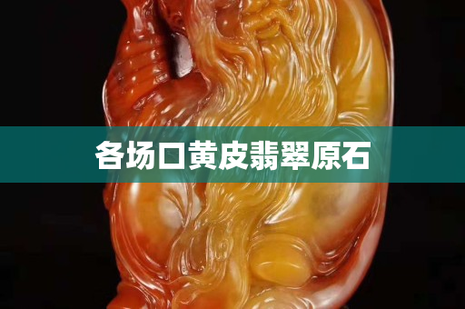 各场口黄皮翡翠原石