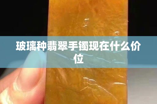 玻璃种翡翠手镯现在什么价位