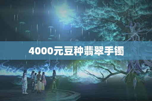 4000元豆种翡翠手镯