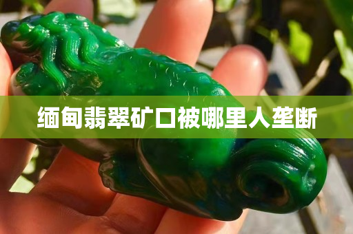 缅甸翡翠矿口被哪里人垄断