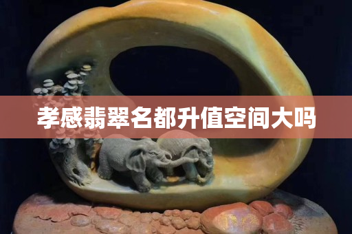 孝感翡翠名都升值空间大吗