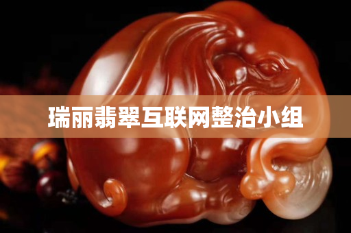 瑞丽翡翠互联网整治小组