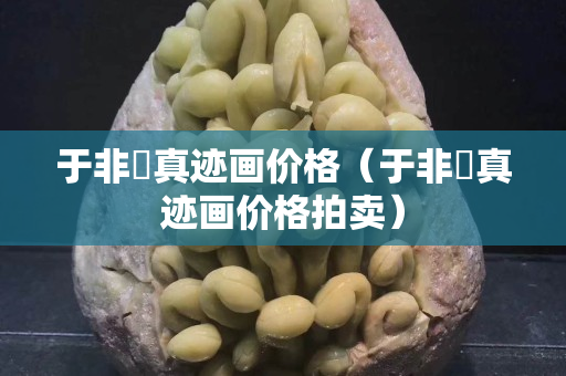 于非闇真迹画价格（于非闇真迹画价格拍卖）