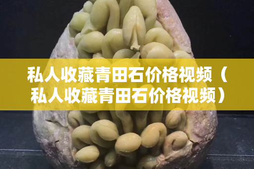 私人收藏青田石价格视频（私人收藏青田石价格视频）