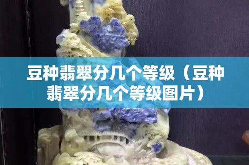 豆种翡翠分几个等级（豆种翡翠分几个等级图片）