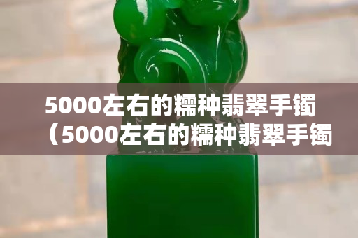 5000左右的糯种翡翠手镯（5000左右的糯种翡翠手镯图片）