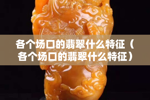 各个场口的翡翠什么特征（各个场口的翡翠什么特征）