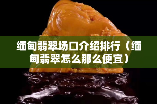 缅甸翡翠场口介绍排行（缅甸翡翠怎么那么便宜）