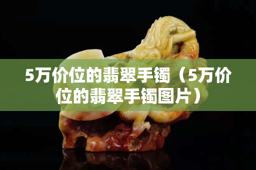5万价位的翡翠手镯（5万价位的翡翠手镯图片）