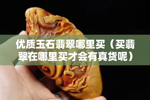 优质玉石翡翠哪里买（买翡翠在哪里买才会有真货呢）