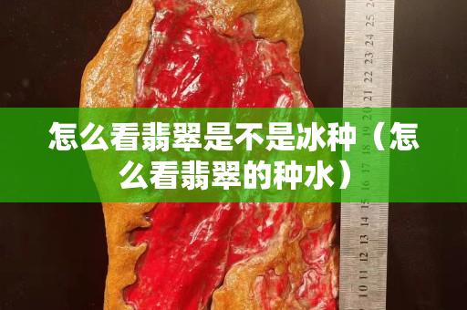 怎么看翡翠是不是冰种（怎么看翡翠的种水）