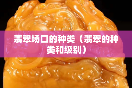 翡翠场口的种类（翡翠的种类和级别）