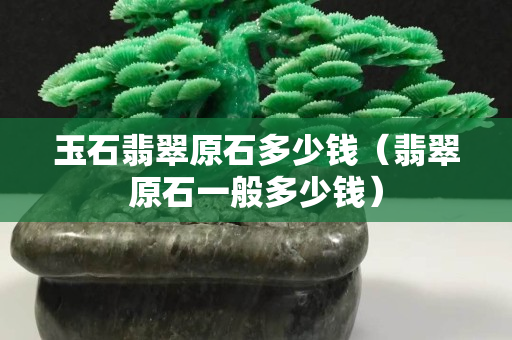 玉石翡翠原石多少钱（翡翠原石一般多少钱）