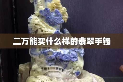 二万能买什么样的翡翠手镯