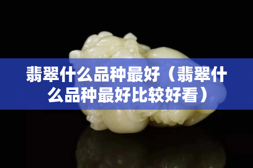 翡翠什么品种最好（翡翠什么品种最好比较好看）