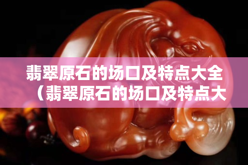 翡翠原石的场口及特点大全（翡翠原石的场口及特点大全照片）