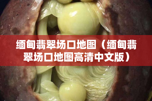 缅甸翡翠场口地图（缅甸翡翠场口地图高清中文版）
