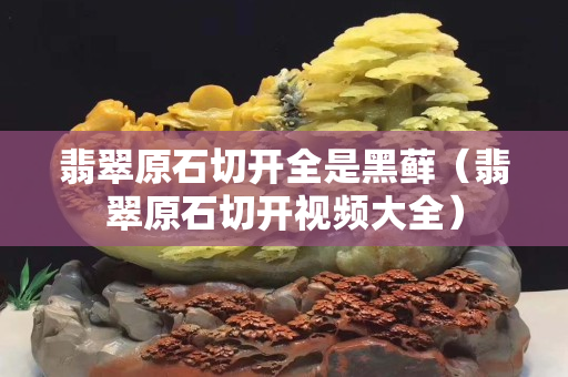 翡翠原石切开全是黑藓（翡翠原石切开视频大全）