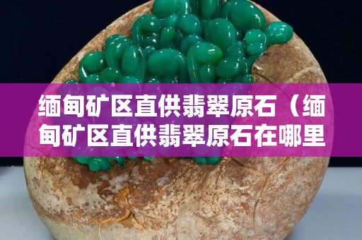 缅甸矿区直供翡翠原石（缅甸矿区直供翡翠原石在哪里）