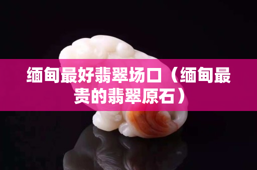 缅甸最好翡翠场口（缅甸最贵的翡翠原石）