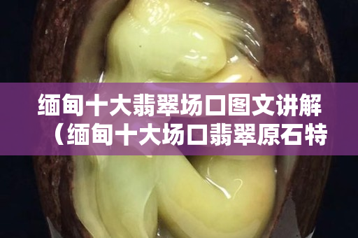 缅甸十大翡翠场口图文讲解（缅甸十大场口翡翠原石特点）