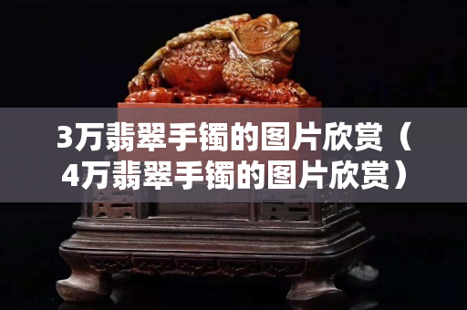 3万翡翠手镯的图片欣赏（4万翡翠手镯的图片欣赏）