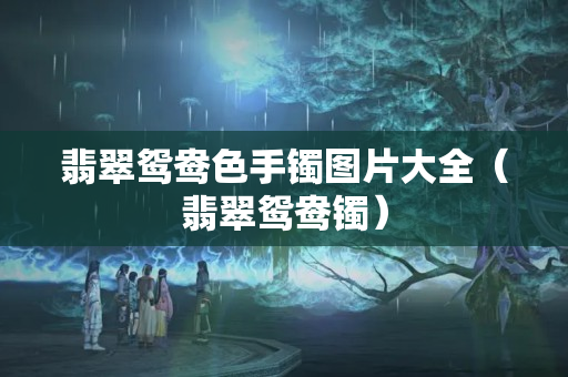翡翠鸳鸯色手镯图片大全（翡翠鸳鸯镯）