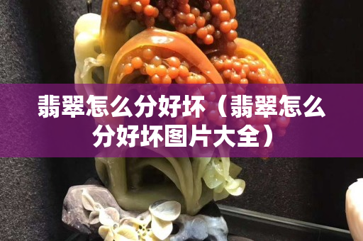 翡翠怎么分好坏（翡翠怎么分好坏图片大全）