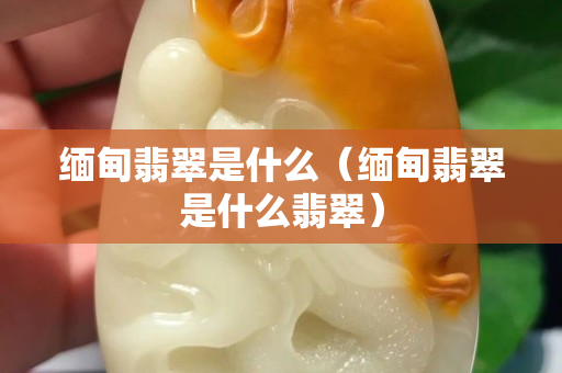 缅甸翡翠是什么（缅甸翡翠是什么翡翠）