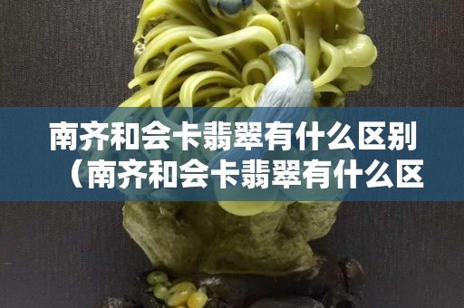 南齐和会卡翡翠有什么区别（南齐和会卡翡翠有什么区别）