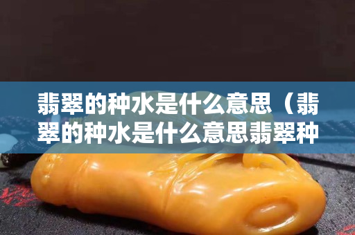 翡翠的种水是什么意思（翡翠的种水是什么意思翡翠种水具体分类的介绍）