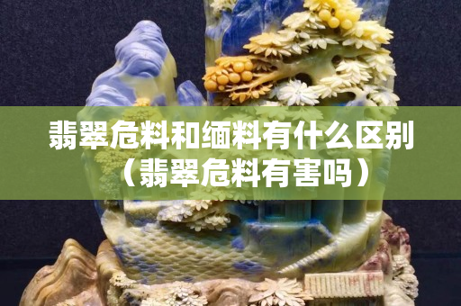 翡翠危料和缅料有什么区别（翡翠危料有害吗）