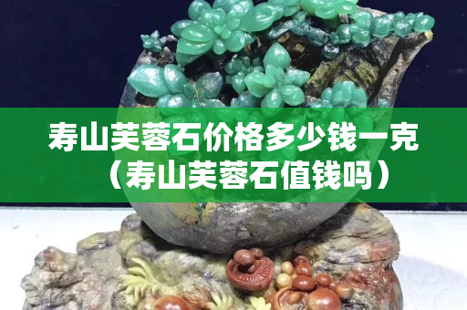 寿山芙蓉石价格多少钱一克（寿山芙蓉石值钱吗）