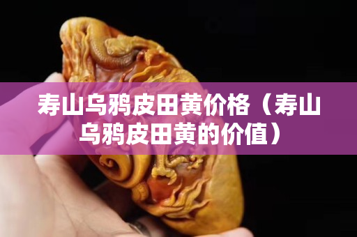 寿山乌鸦皮田黄价格（寿山乌鸦皮田黄的价值）
