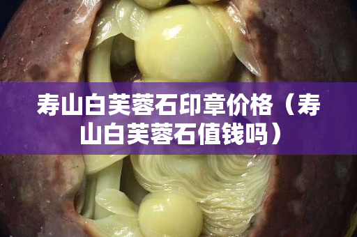 寿山白芙蓉石印章价格（寿山白芙蓉石值钱吗）