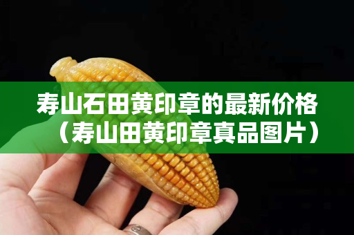 寿山石田黄印章的最新价格（寿山田黄印章真品图片）