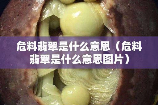 危料翡翠是什么意思（危料翡翠是什么意思图片）
