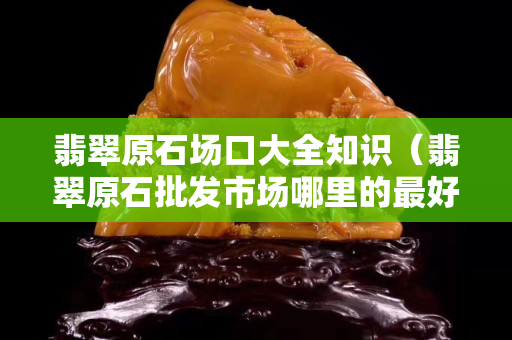 翡翠原石场口大全知识（翡翠原石批发市场哪里的最好）