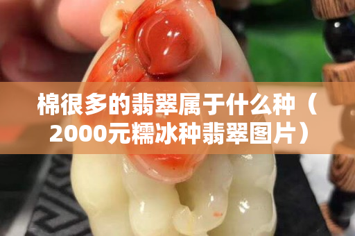 棉很多的翡翠属于什么种（2000元糯冰种翡翠图片）