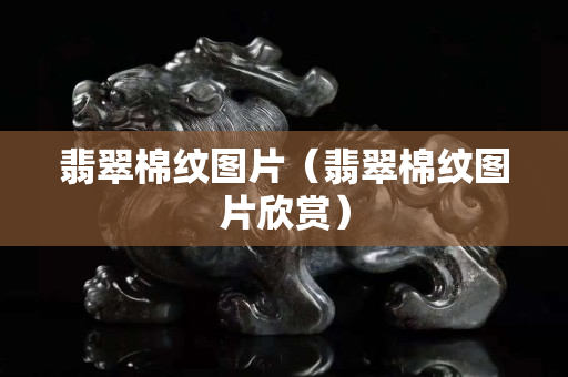 翡翠棉纹图片（翡翠棉纹图片欣赏）
