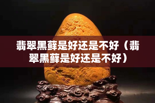 翡翠黑藓是好还是不好（翡翠黑藓是好还是不好）